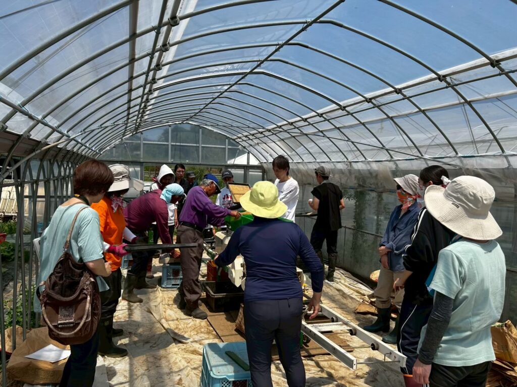 ハウスでの共同作業。人が集まればかたちになる